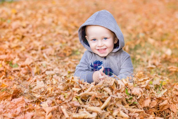 Słodkie dziecko w autumn odchodzi. — Zdjęcie stockowe