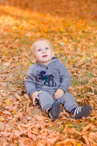 Cute baby in autumn leaves. — Stock Photo, Image