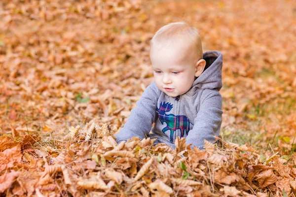 Cute baby in autumn leaves. — Stock Photo, Image