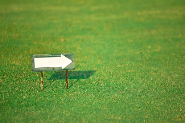 Witte pijl op groen gras — Stockfoto