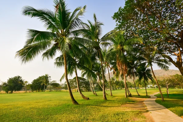 Golfplatz — Stockfoto