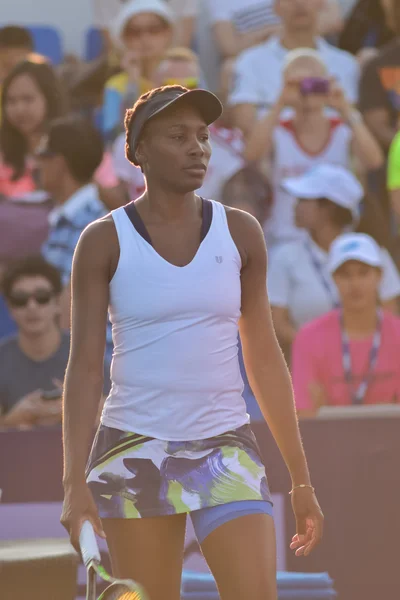 World female Tennis Player Venus Williams — Zdjęcie stockowe