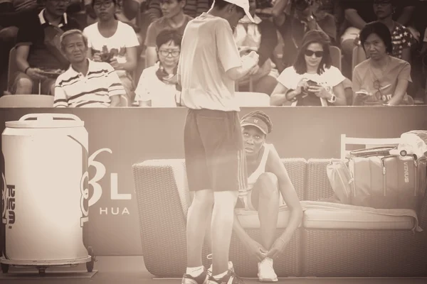 World female Tennis Player Venus Williams — Stock Photo, Image