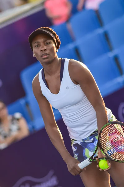 World female Tennis Player Venus Williams — Stockfoto