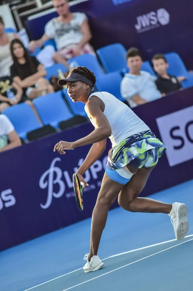 World female Tennis Player Venus Williams — Stockfoto