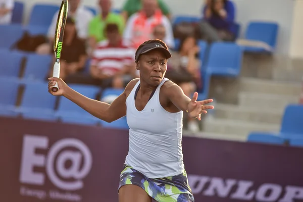 Mundo feminino jogador de tênis Venus Williams — Fotografia de Stock