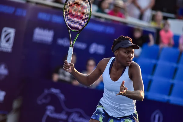 World female Tennis Player Venus Williams — Stockfoto