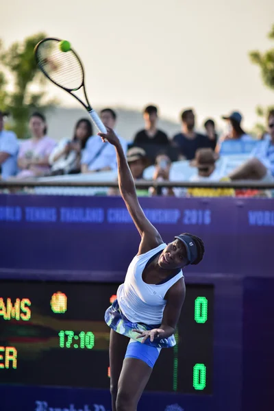 World female Tennis Player Venus Williams — Zdjęcie stockowe