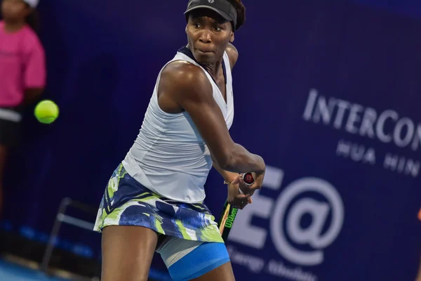 World female Tennis Player Venus Williams — Zdjęcie stockowe