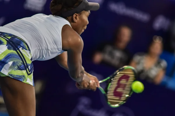 Jugadora de tenis Venus Williams — Foto de Stock
