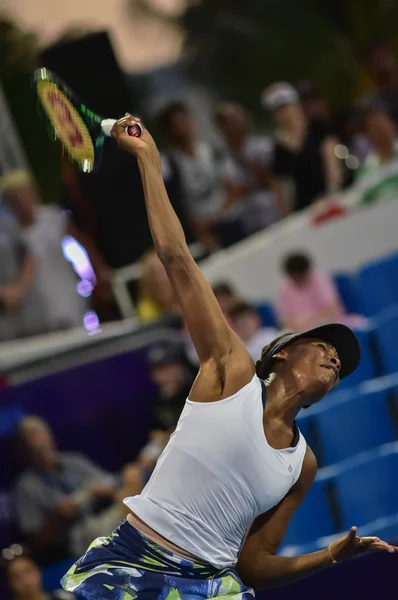 World female Tennis Player Venus Williams — 스톡 사진