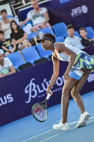 Mundo feminino jogador de tênis Venus Williams Fotos De Bancos De Imagens