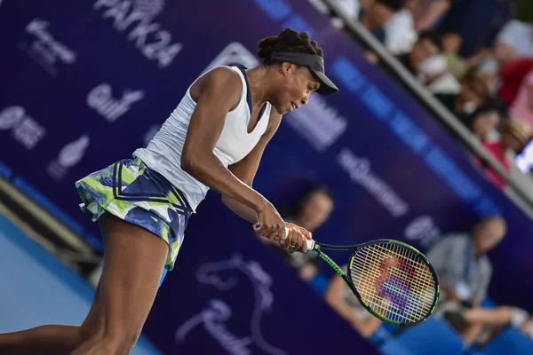 Giocatrice mondiale di tennis Venus Williams Immagini Stock Royalty Free