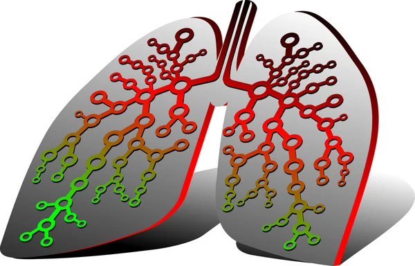 Diagnósticos pulmonares — Vector de stock