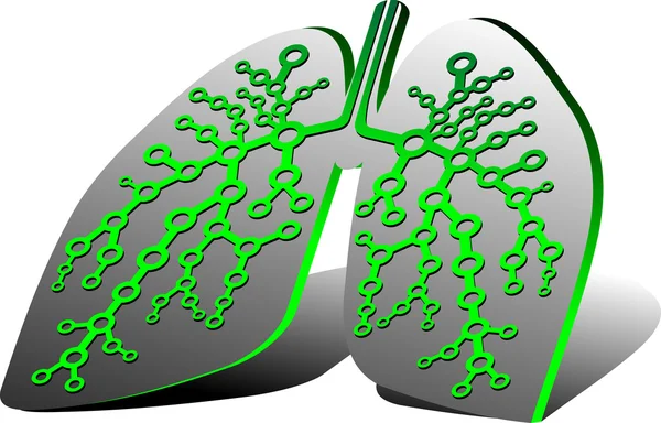 Pulmonaire diagnostiek — Stockvector