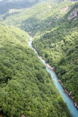 Tara dünyanın en büyük vadilerinden birini kesti. 78 km uzunluğunda, dikey olarak dik kenarları 1300 metre yüksekliğinde. Bu da Tara Kanyonu 'nu Avrupa' nın en derin kanyonu yapıyor..