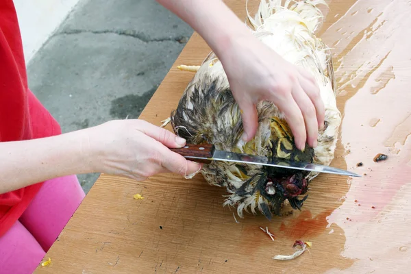 Killing broiler — Stock Photo, Image