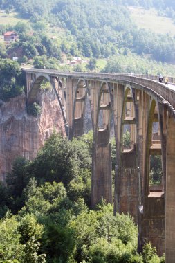 tara djurdjevica köprü