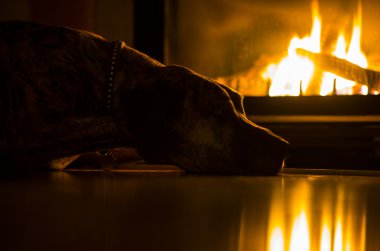 Sıcaklık ve Coziness