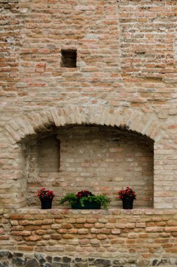 tuğla duvar üzerine pot Sardunya çiçeği.