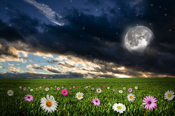 Flower field in the night. Elements of this image furnished by NASA.