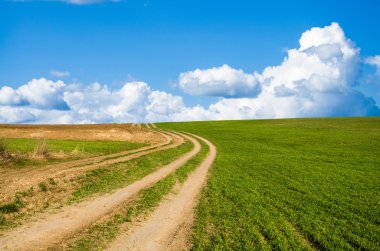 toprak yol ve yeşil alan