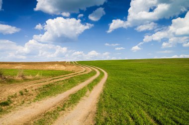 toprak yol ve yeşil alan