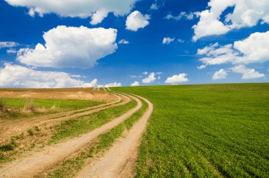 toprak yol ve yeşil alan