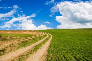 toprak yol ve yeşil alan