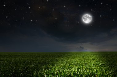 Gece Arkaplanı