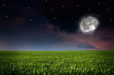 Gece Arkaplanı