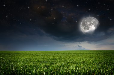 Gece Arkaplanı