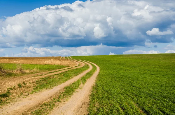 Camino de tierra y campo verde —  Fotos de Stock