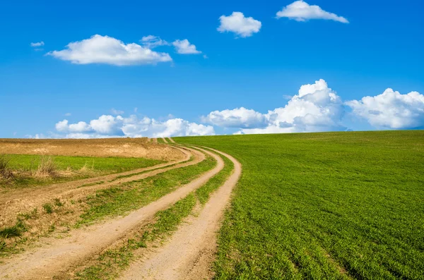 Camino de tierra y campo verde —  Fotos de Stock