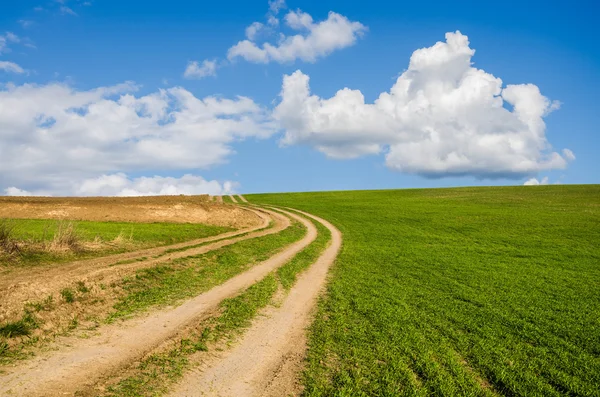 Грязная дорога и зеленое поле — стоковое фото