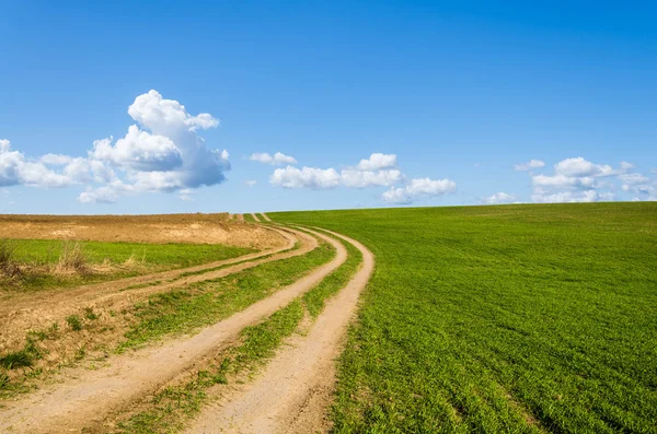 Camino de tierra y campo verde —  Fotos de Stock