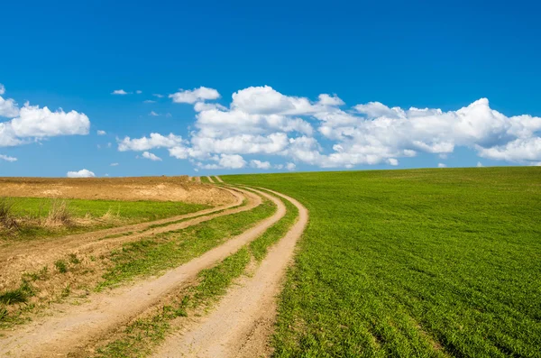 Camino de tierra y campo verde —  Fotos de Stock