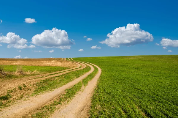 Грязная дорога и зеленое поле — стоковое фото