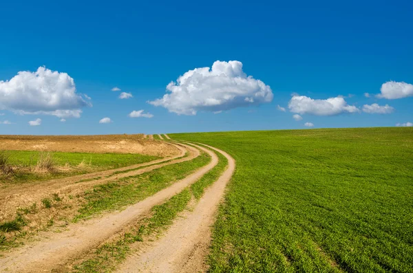 Camino de tierra y campo verde —  Fotos de Stock