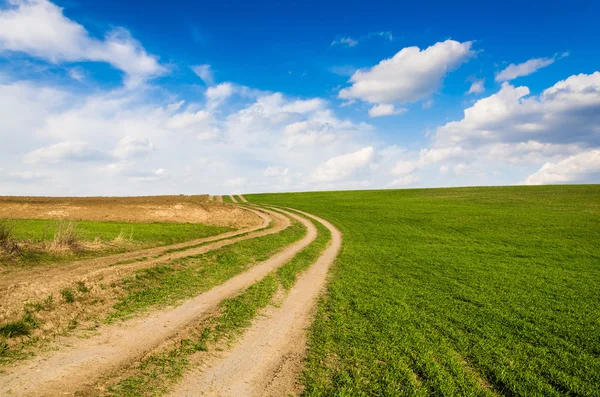 Camino de tierra y campo verde —  Fotos de Stock