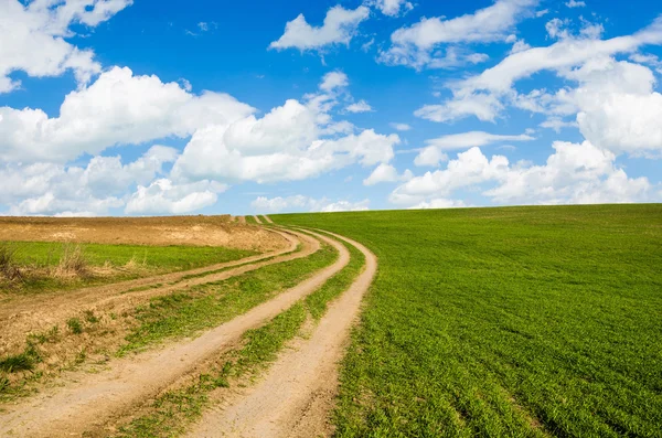 Camino de tierra y campo verde —  Fotos de Stock