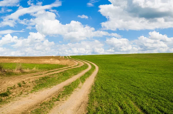 Camino de tierra y campo verde —  Fotos de Stock