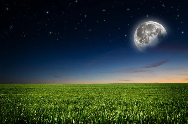 Night background — Stock Photo, Image