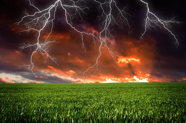 Tormenta con relámpagos en pradera verde — Foto de Stock