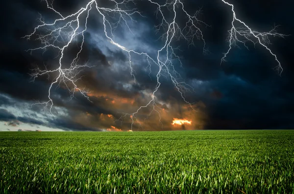 Thunderstorm with lightning in green meadow — Stock Photo, Image