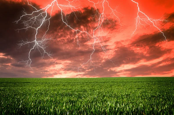 Gewitter mit Blitz auf grüner Wiese — Stockfoto