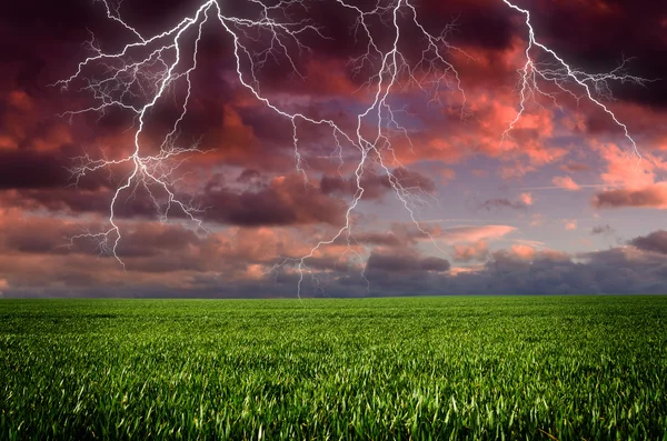 Tormenta con relámpagos en pradera verde — Foto de Stock