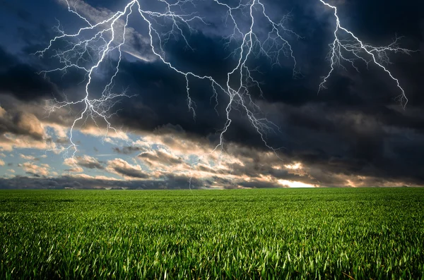 Tormenta con relámpagos en pradera verde — Foto de Stock