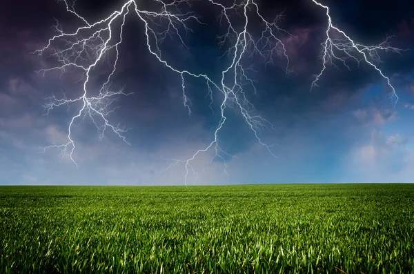 Thunderstorm with lightning in green meadow — Stock Photo, Image