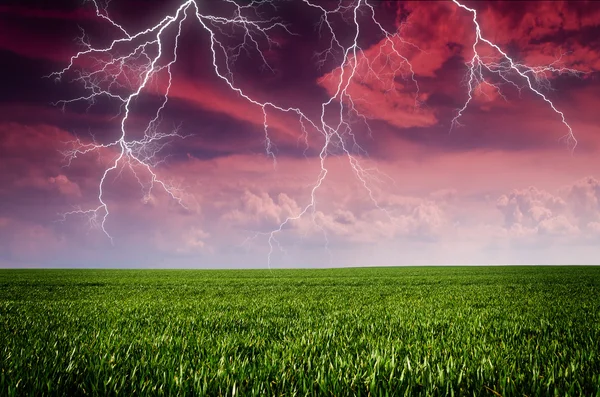 Thunderstorm with lightning in green meadow — Stock Photo, Image